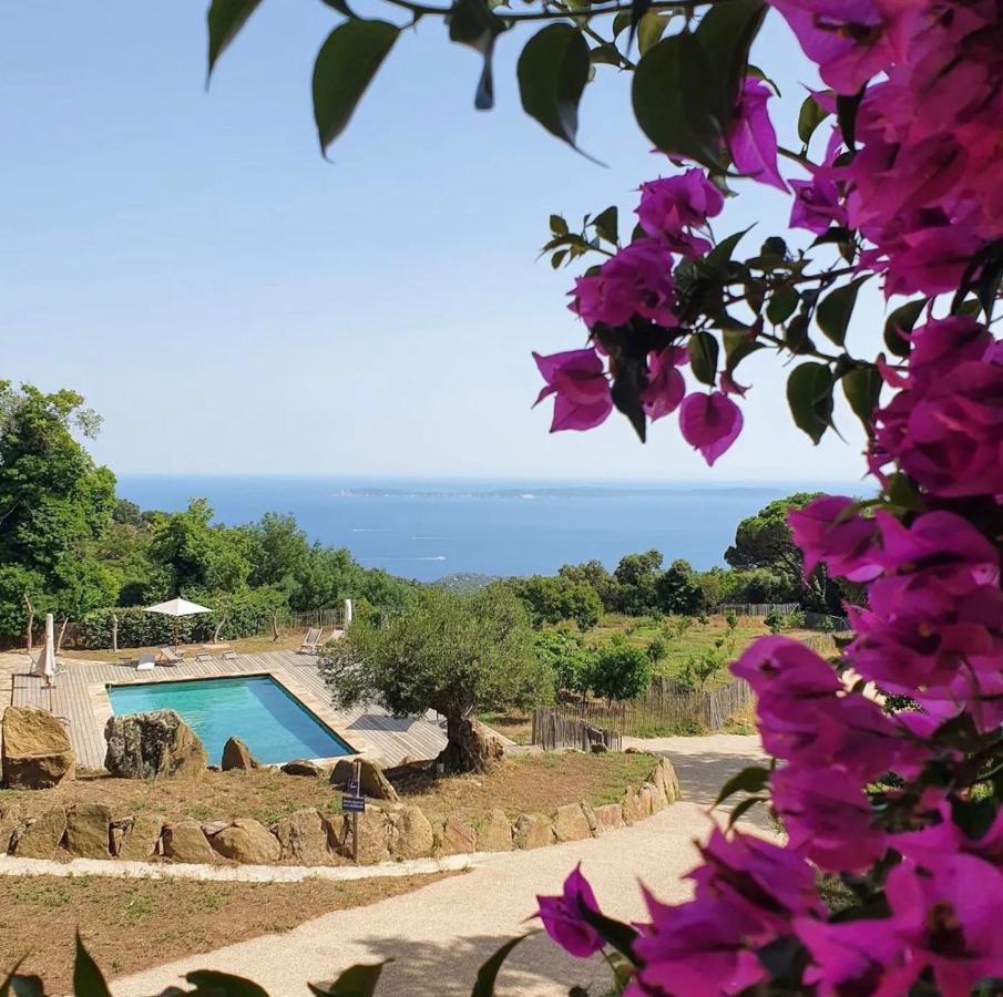 Holiday home Relais Du Vieux Sauvaire Le Lavandou